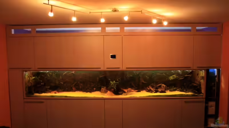 Aquarium Hauptansicht von Becken 10090 von Barbara Langenberger (1)