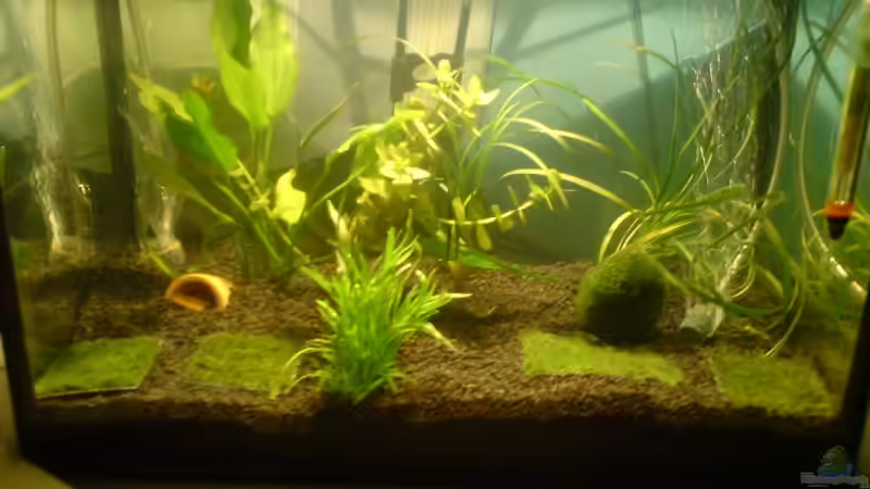 Aquarium Hauptansicht von Becken 10110 von Paul225