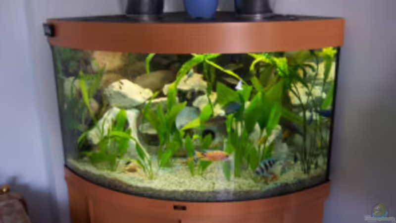 Aquarium Hauptansicht von Becken 102