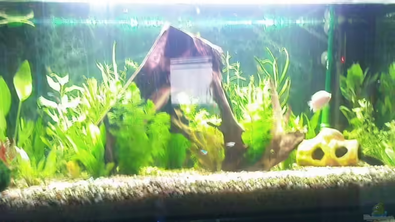 Aquarium Hauptansicht von Becken 10226 von Kai Stockmann