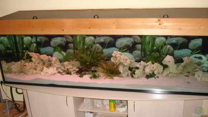 Aquarium Hauptansicht von Becken 10244