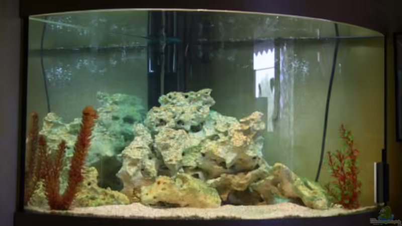 Aquarium Hauptansicht von Becken 10286