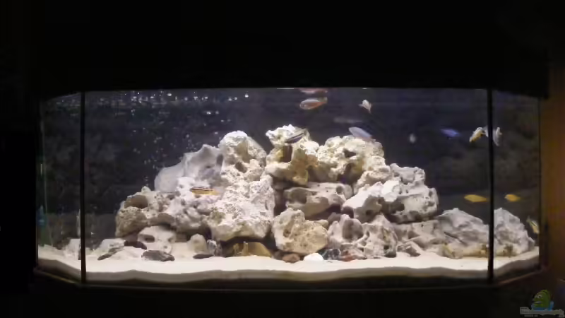 Aquarium Hauptansicht von Becken 10495 von Malaw!K!d (1)