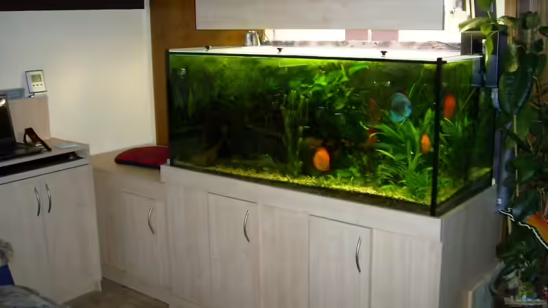 Aquarium Hauptansicht von Becken 10504 von Johann Bihler (1)