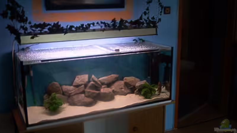 Aquarium Hauptansicht von Becken 1051 von Dominic Moritz (1)