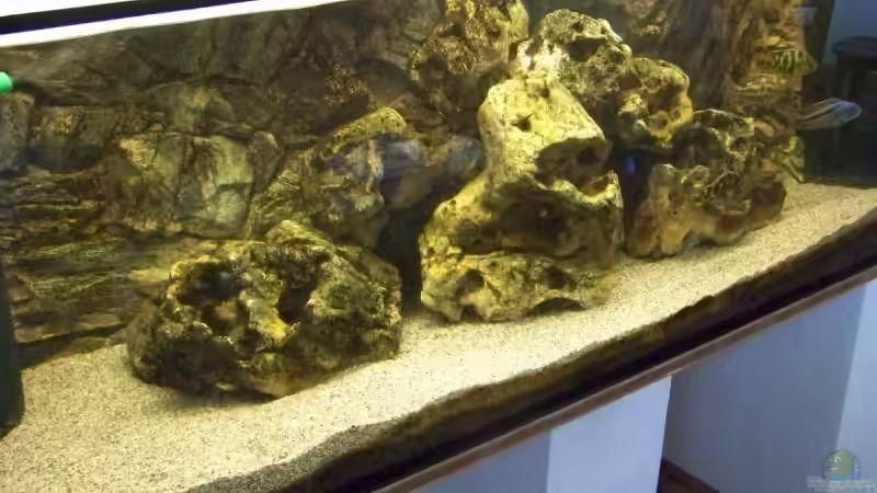 Aquarium Hauptansicht von Becken 10655 von Christian Hurm (1)