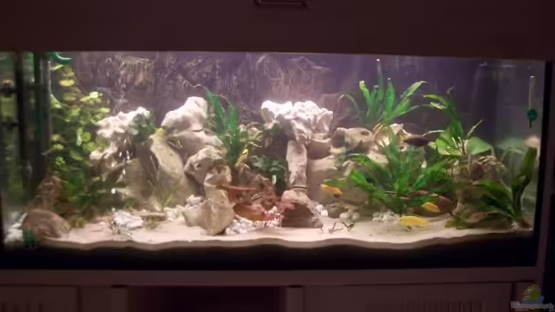 Aquarium Hauptansicht von Becken 10668 von Uwe Richter (1)