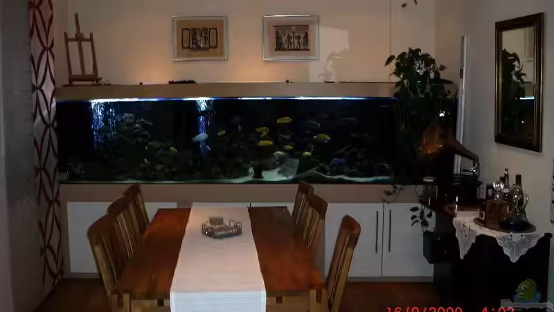 Aquarium Hauptansicht von Becken 1069 von Christoph Fetten (1)