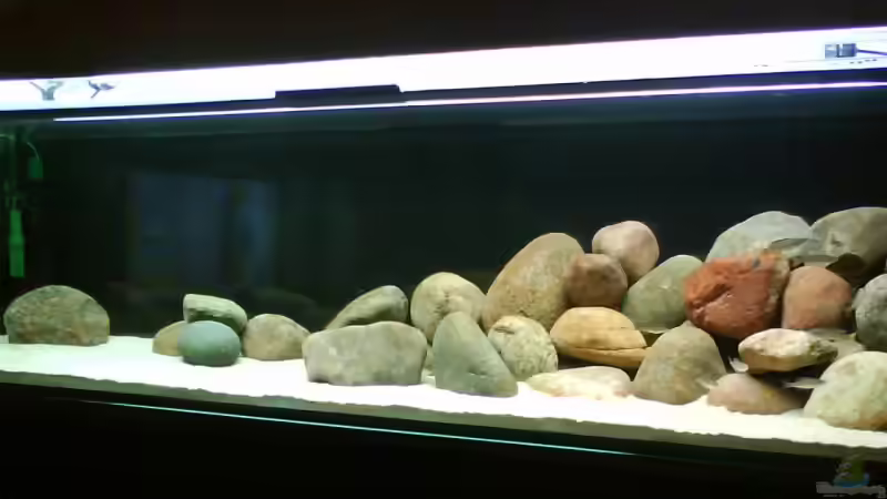 Aquarium Hauptansicht von Becken 10771 von Blubb Blubb (1)