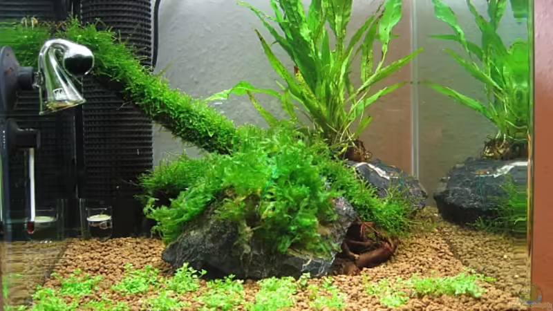 Aquarium Hauptansicht von Becken 10826