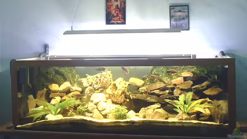 Aquarium Hauptansicht von Becken 109 von Silvano Erjavec (1)