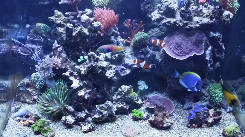 Aquarium Hauptansicht von Becken 11016