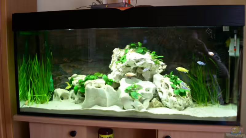 Aquarium Hauptansicht von Becken 1115 von Michael Meier (1)