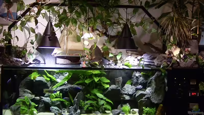 Aquarium Hauptansicht von Becken 112 von Marco Spurzem (1)