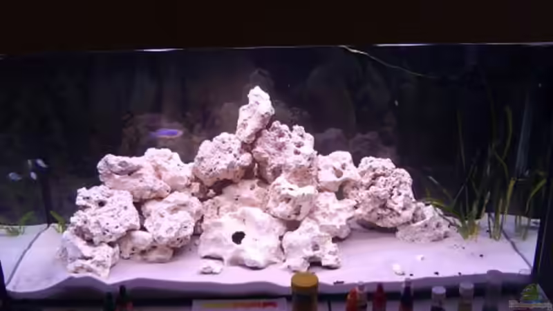 Aquarium Hauptansicht von Becken 11330 von Marcel Düsterhöft (1)