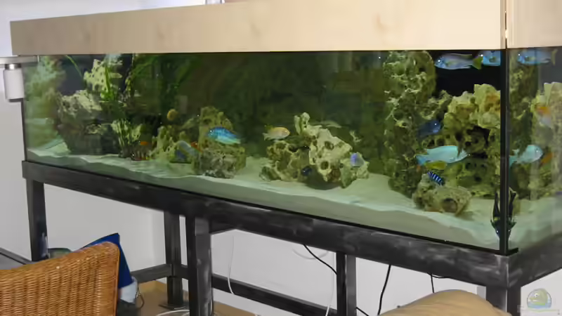 Aquarium Hauptansicht von Becken 114 von Michael Schmidt (1)