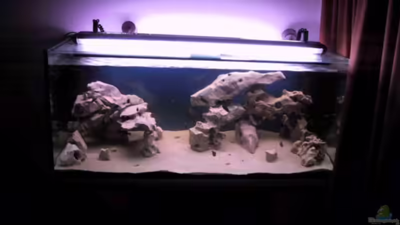 Aquarium Hauptansicht von Becken 115 von Karsten Garn (1) (5)