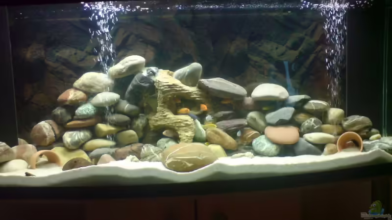 Aquarium Hauptansicht von Becken 11519