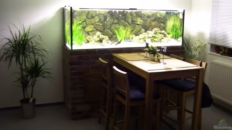 Aquarium Hauptansicht von Becken 11633
