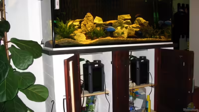 Aquarium Hauptansicht von Becken 117