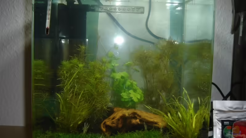 Aquarium Hauptansicht von Becken 11712