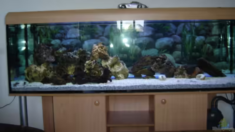 Aquarium Hauptansicht von Becken 1172 von Thomas Wehner (1)