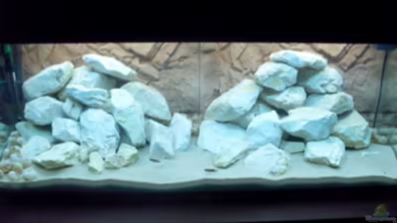 Aquarium Hauptansicht von Becken 11895