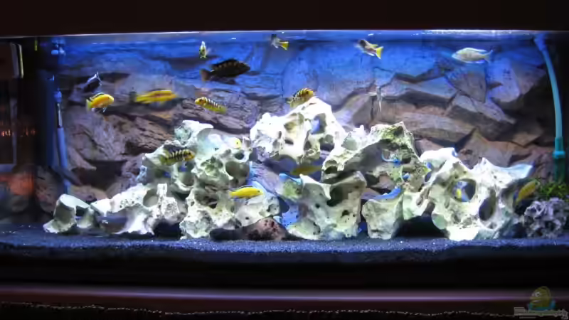 Aquarium Hauptansicht von Becken 12071