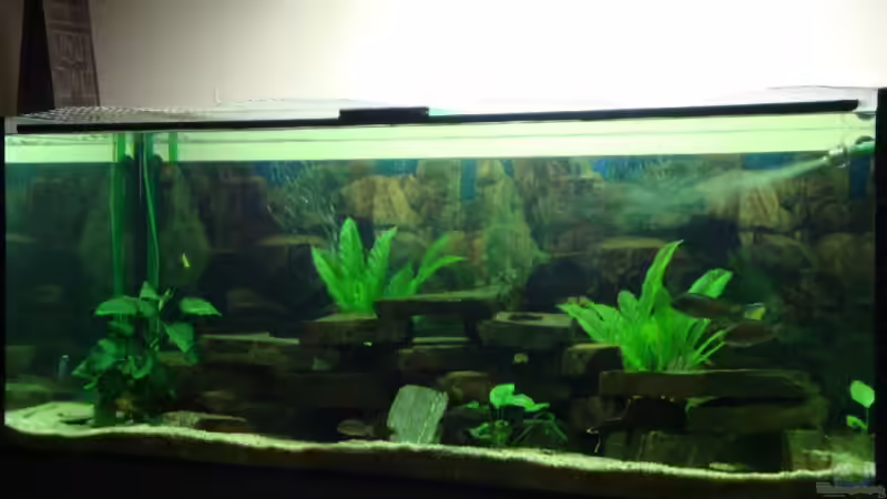 Aquarium Hauptansicht von Becken 12205