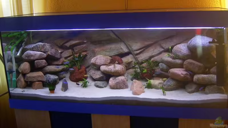 Aquarium Hauptansicht von Becken 1230