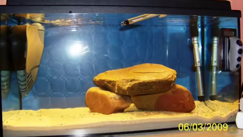 Aquarium Hauptansicht von Becken 12832