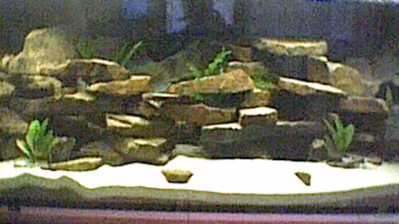 Aquarium Hauptansicht von Becken 129 von Michael Ehrle (1)