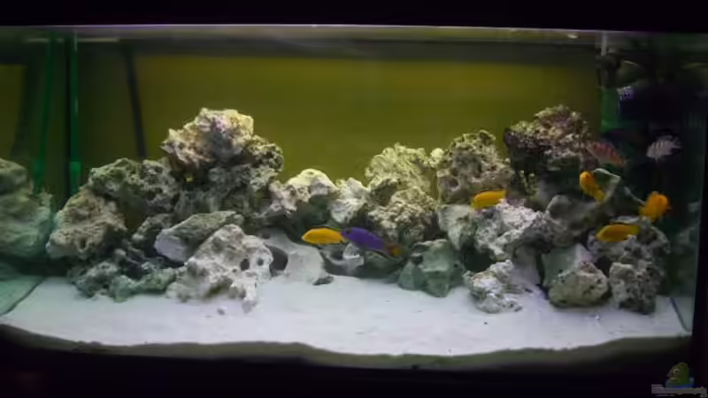 Aquarium Hauptansicht von Becken 12945 von Kresimir Knezevic (1)