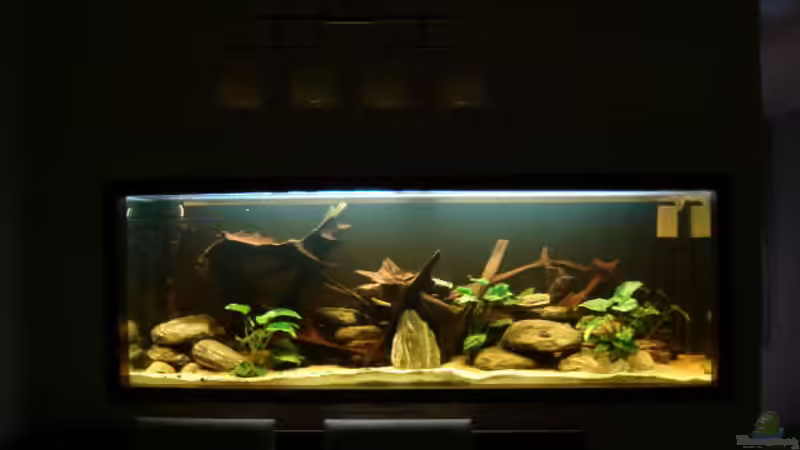 Aquarium Hauptansicht von Becken 13113 von Markus Josef (1)