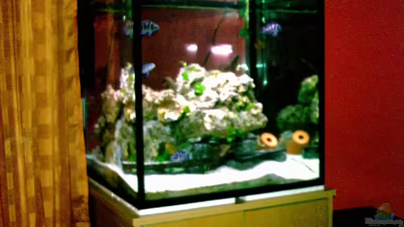 Aquarium Hauptansicht von Becken 1317 von Detlef Fuchs (1)