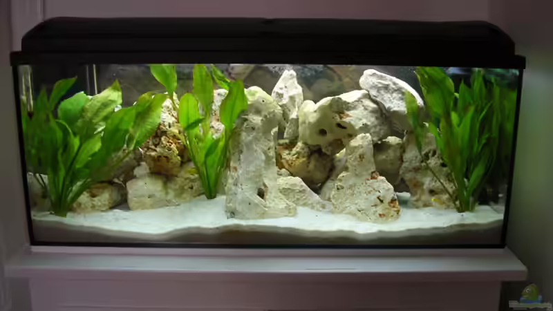 Aquarium Hauptansicht von Becken 1320 von Florian Mülbert (1)