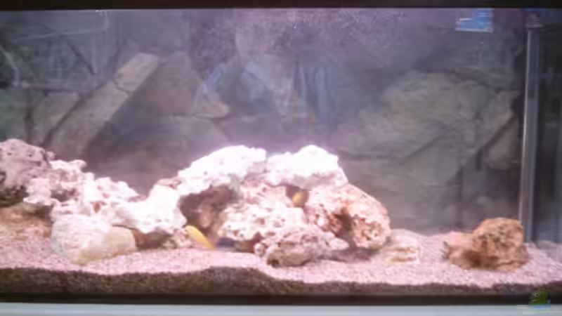 Aquarium Hauptansicht von Becken 1358 von Andreas Schlegel (1)