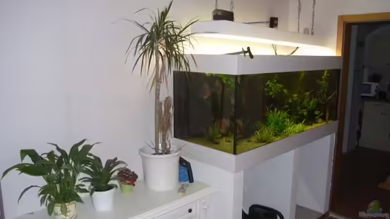 Aquarium Hauptansicht von Becken 13702 von Markus Huber (1)