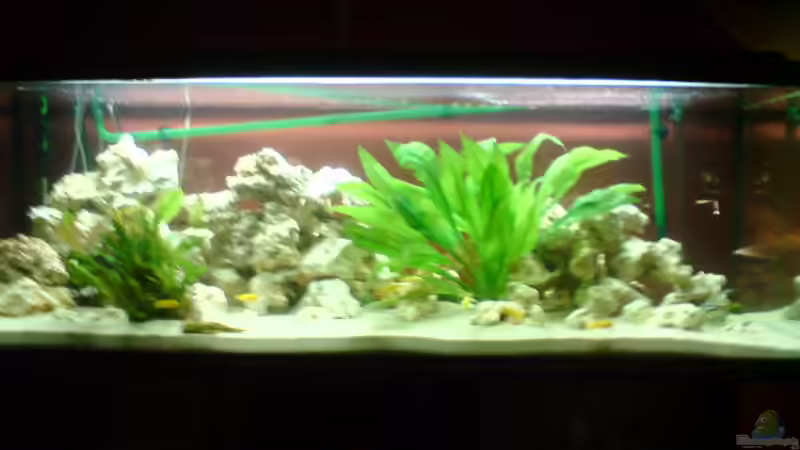 Aquarium Hauptansicht von Becken 13741