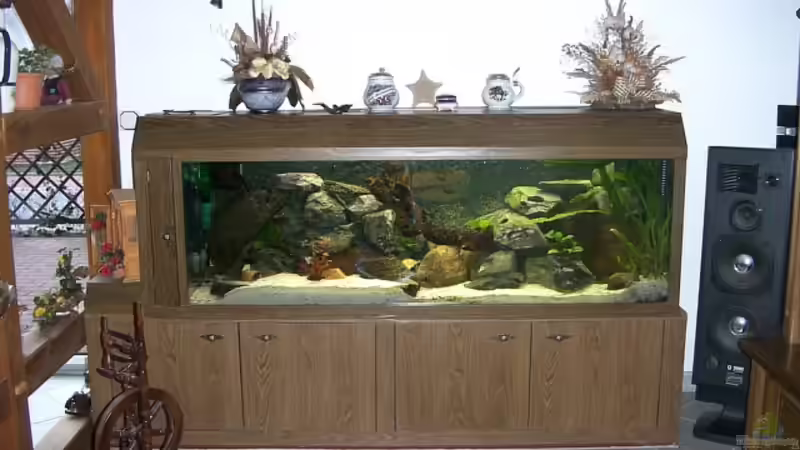 Aquarium Hauptansicht von Becken 139 von Falko Golembieski (1)