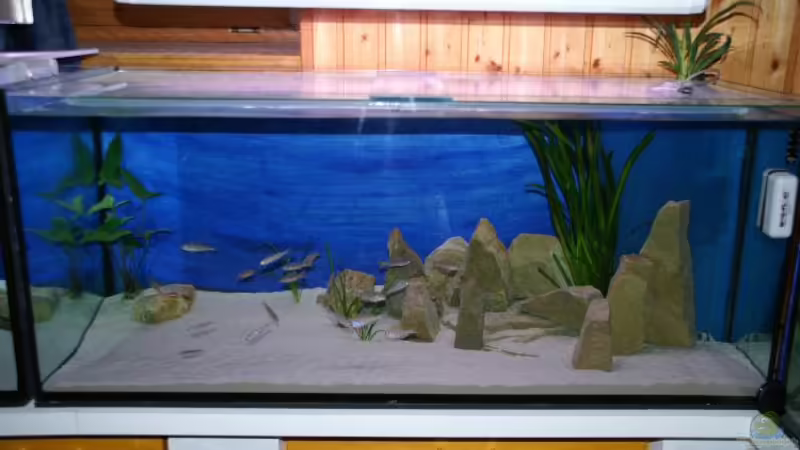 Aquarium Hauptansicht von Becken 1402