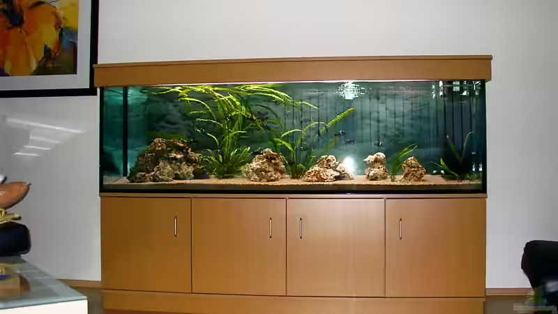 Aquarium Hauptansicht von Becken 1405