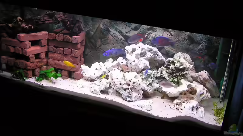 Aquarium Hauptansicht von Becken 1409 von mbuna-guwo (1)