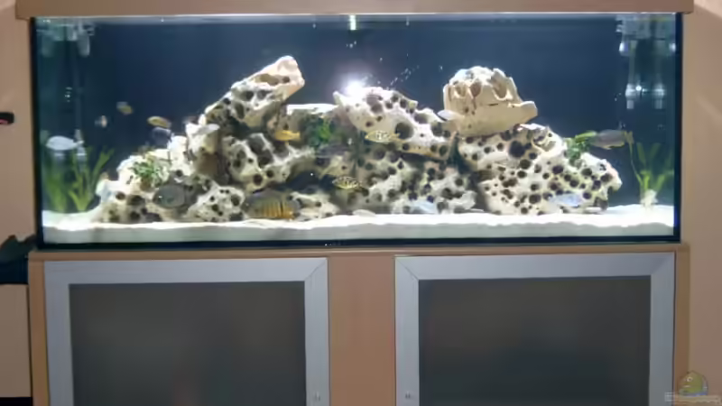 Aquarium Hauptansicht von Becken 142