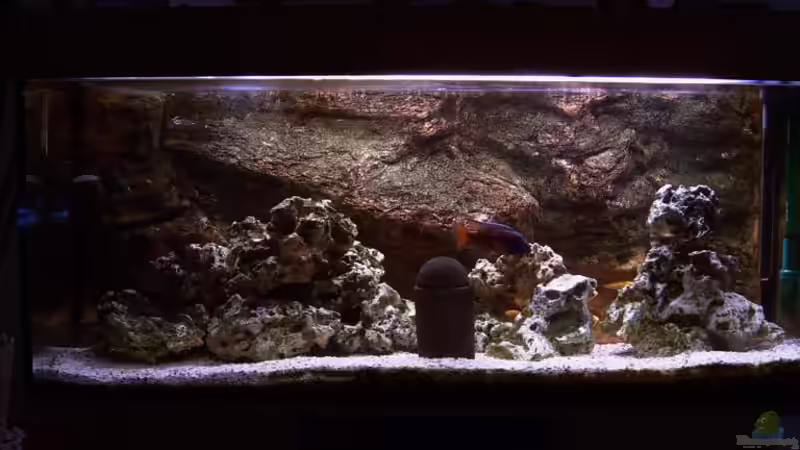 Aquarium Hauptansicht von Becken 1425 von Michael Beig (1)