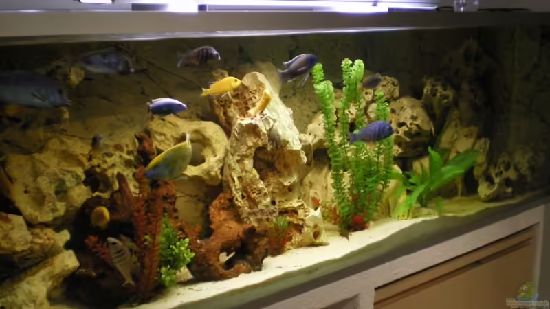 Aquarium Hauptansicht von Becken 14301