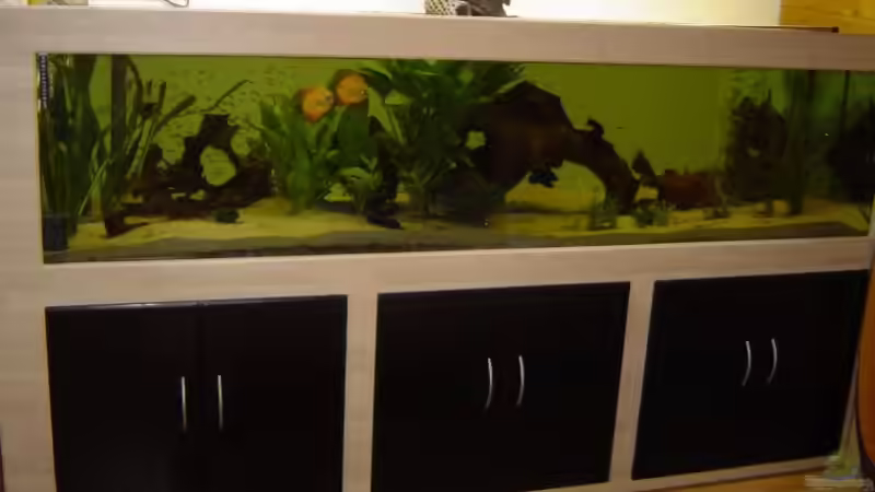 Aquarium Hauptansicht von Becken 1448 von Alex Niess (1)