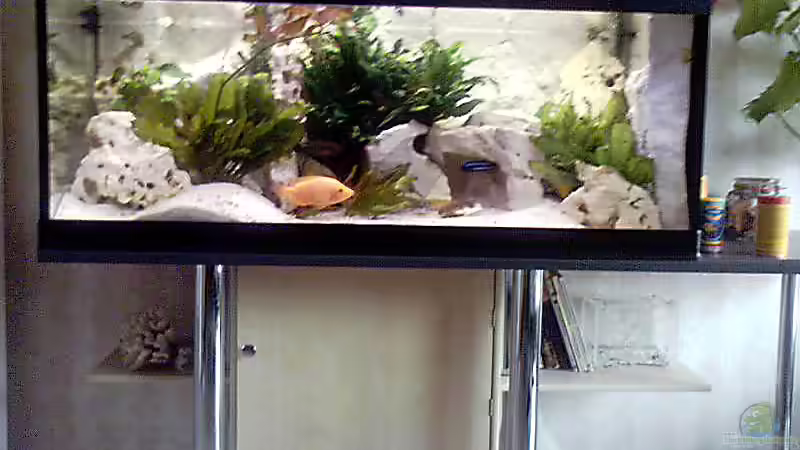 Aquarium Hauptansicht von Becken 1473