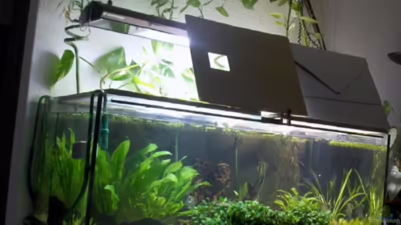 Aquarium Hauptansicht von Becken 1483 von Marco Meyer (1)