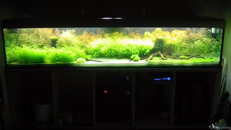 Aquarium Hauptansicht von Becken 1489